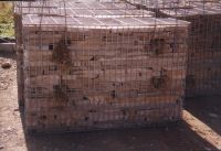 Steink�rbe (Gabionen) mit noch sichtbaren Transportschlaufen